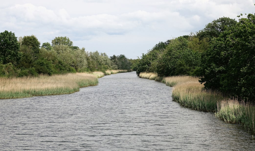 Natur und Erlebnisraum WarnowÄstuar Die Ostseestiftung