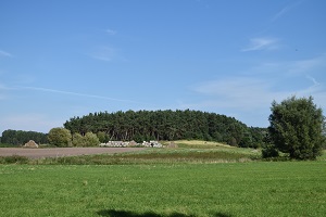 Moorschutz-Studie Polder Ganschvitz