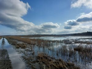 Moorklimaschutz an der Ostseeküste