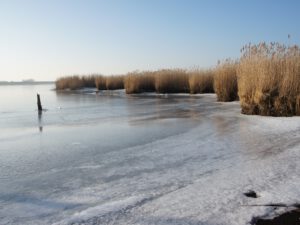 KlimaWildnisBotschafter