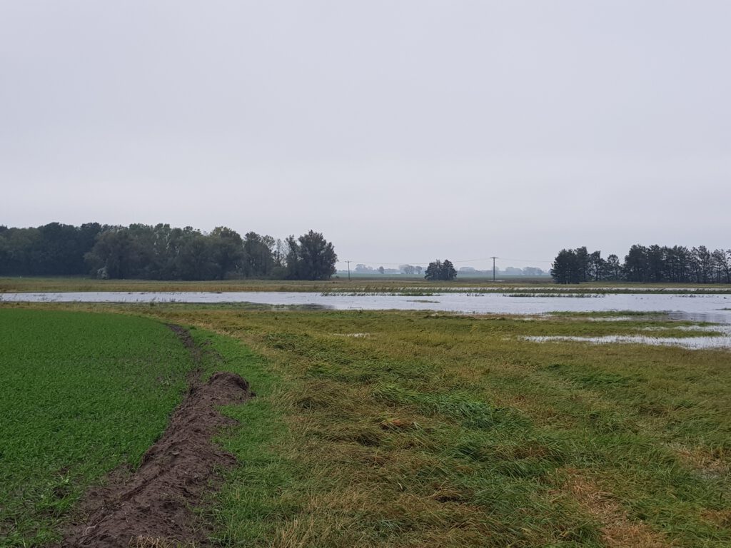 Polder Grosow Hochwasser