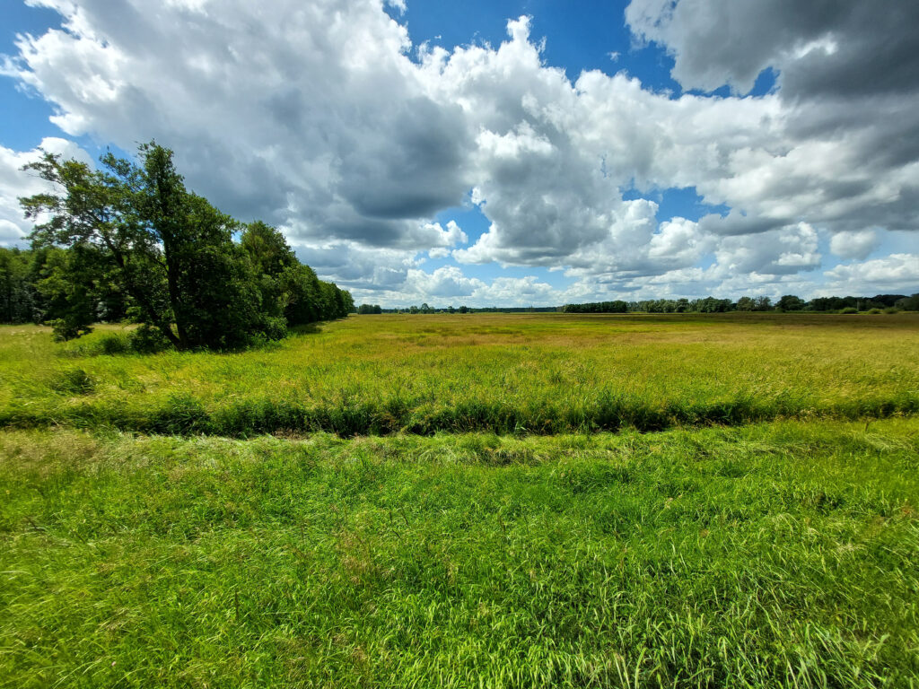 Polder Rochow