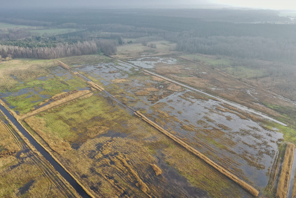 Polder Fuhlendorf